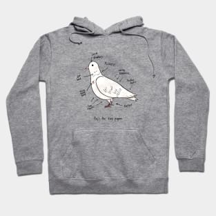 Anatomy of a Pigeon Hoodie